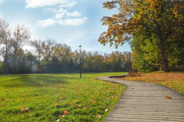 Güneşli bir günde güzel ağaçlı ve patikalı bir park manzarası. Sonbahar mevsimi