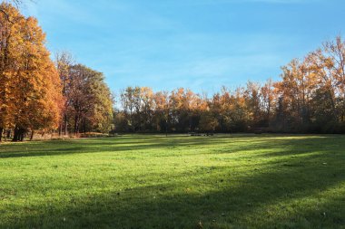 Güneşli bir günde güzel ağaçların ve yeşil çimlerin olduğu resim gibi bir park manzarası. Sonbahar mevsimi