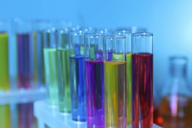 Açık mavi arka planda renkli sıvıları olan birçok test tüpü, yakın plan