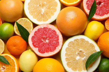 Arka plan olarak yeşil yapraklı farklı olgun narenciye meyveleri, üst görünüm