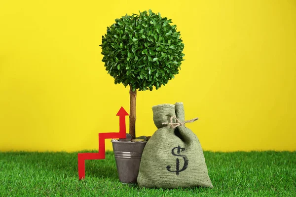 Bag Money Arrow Tree Yellow Background Profit Concept — Photo