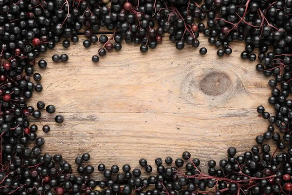 Frame of black elderberries (Sambucus) on wooden table, flat lay. Space for text