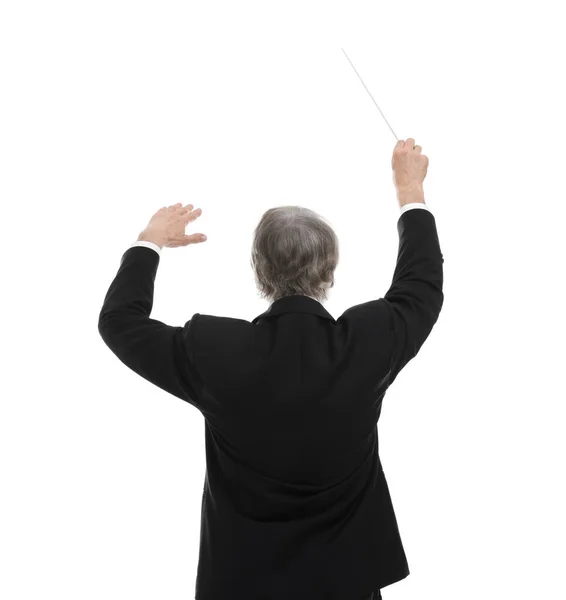 Profesionální Dirigent Obuškem Bílém Pozadí Zadní Pohled — Stock fotografie