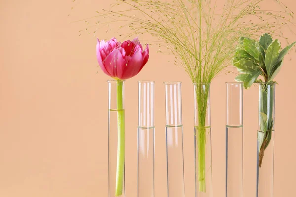 Different plants in test tubes on beige background, closeup. Space for text