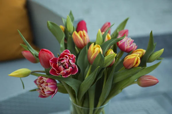 Beautiful Bouquet Colorful Tulips Blurred Background — Foto de Stock