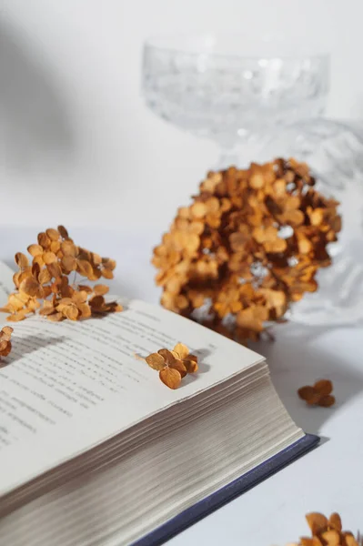 Dried hortensia flowers and book on white table, closeup
