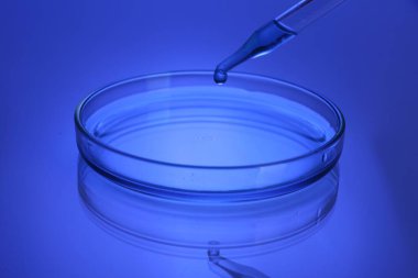 Petri kabına damlayan reaksiyonun üzerinde mavi tonlu bir örnek var.