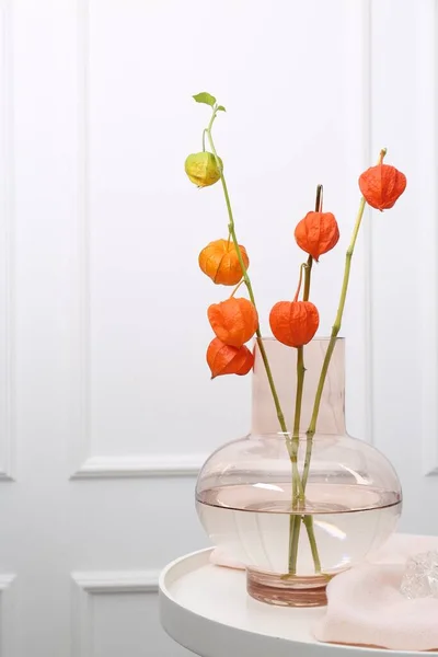 Decorative Physalis Branches Glass Vase White Table Indoors — Stock Photo, Image