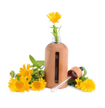 Bottle of essential oil and calendula flowers on white background