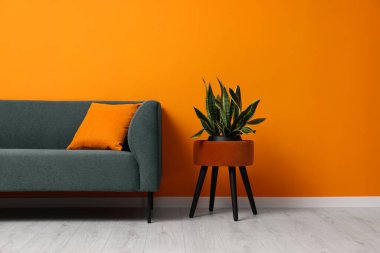 Turuncu duvarın yanında şık bir kanepe ve saksı bitkisi, yazı için yer. İç tasarım