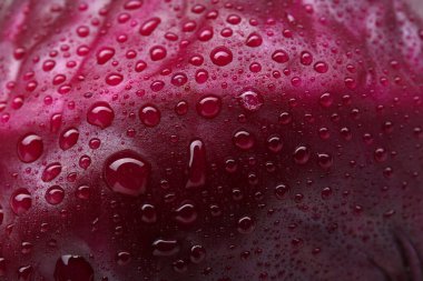 Fresh ripe red cabbage with water drops as background, closeup