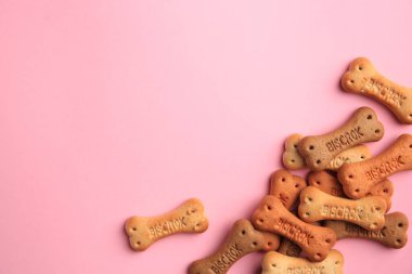 Bone shaped dog cookies on pink background, flat lay. Space for text