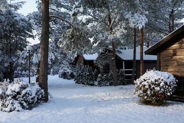 Winter Landscape Wooden Houses Trees Bushes Morning —  Fotos de Stock