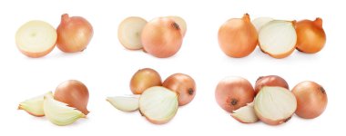 Collage with fresh ripe onions on white background