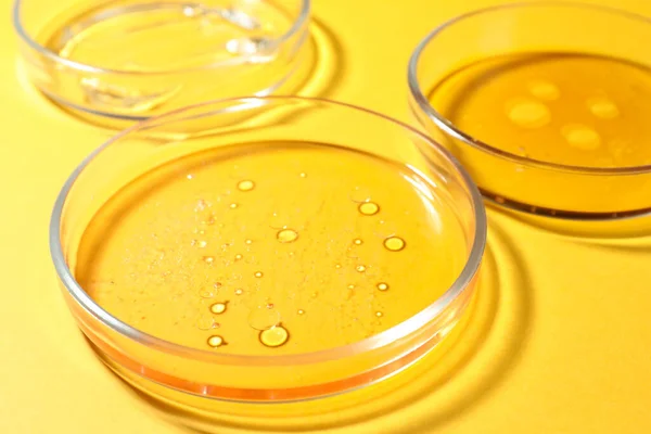 Petri dishes with liquids on orange background, closeup
