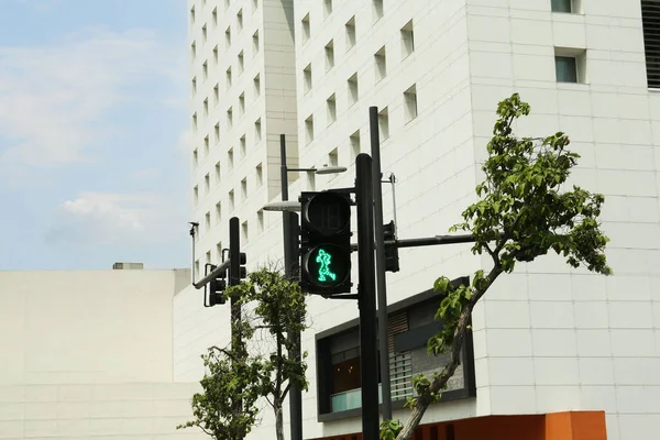 Traffic light for pedestrians on city street. Road rules
