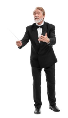 Beyaz arkaplanda batonu olan profesyonel iletken