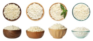 Collage with bowls of tasty cottage cheese on white background, top and side views
