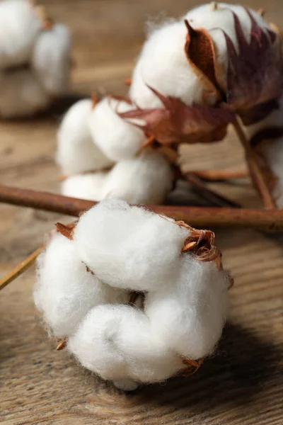 Dried Cotton Branch Fluffy Flowers Wooden Table Closeup — Zdjęcie stockowe