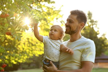 Happy father with his cute daughter in park on sunny day