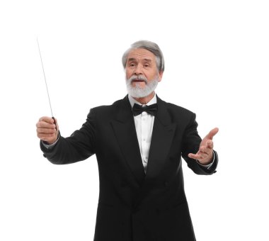 Beyaz arkaplanda batonu olan profesyonel iletken