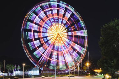 Beautiful glowing Ferris wheel against dark sky