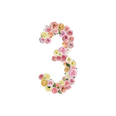 Number 3 made of beautiful rose flowers on white background