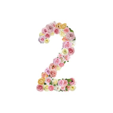 Number 2 made of beautiful rose flowers on white background