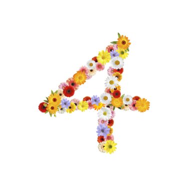 Number 4 made of beautiful flowers on white background