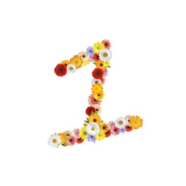 Number 1 made of beautiful flowers on white background