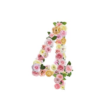 Number 4 made of beautiful rose flowers on white background