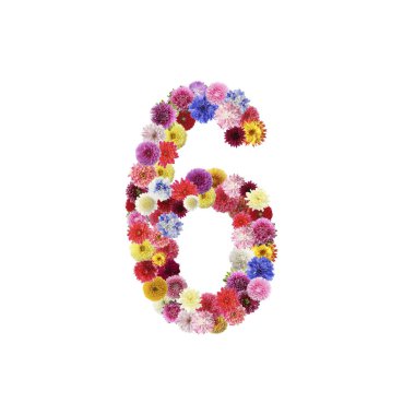 Number 6 made of beautiful flowers on white background