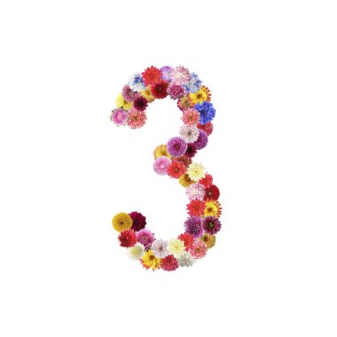 Number 3 made of beautiful flowers on white background