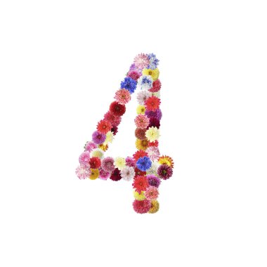 Number 4 made of beautiful flowers on white background