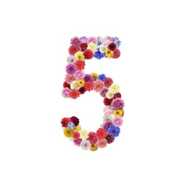Number 5 made of beautiful flowers on white background