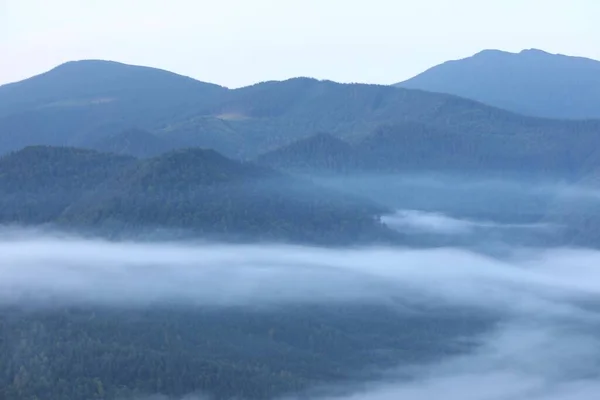 Beautiful view of foggy mountains covered with forest