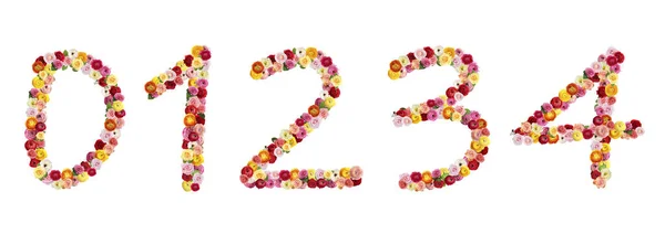 Set Numbers Made Beautiful Flowers White Background — Stock Photo, Image