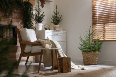 Noel için saksılarla süslenmiş güzel bir oda. İç tasarım