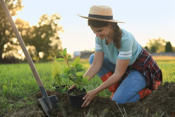 Happy young woman planting tree in countryside