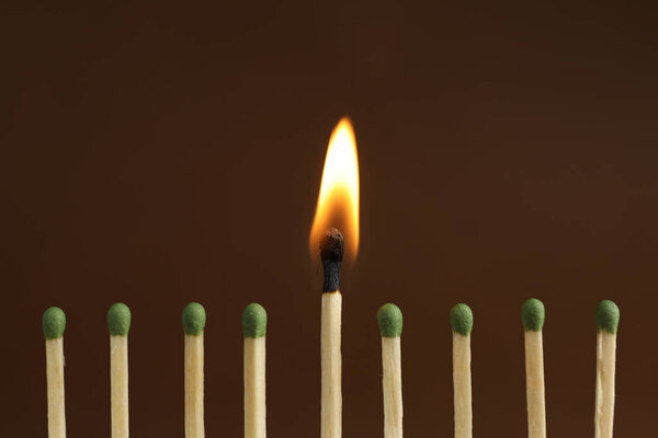 Burning match among unlit ones on brown background, closeup