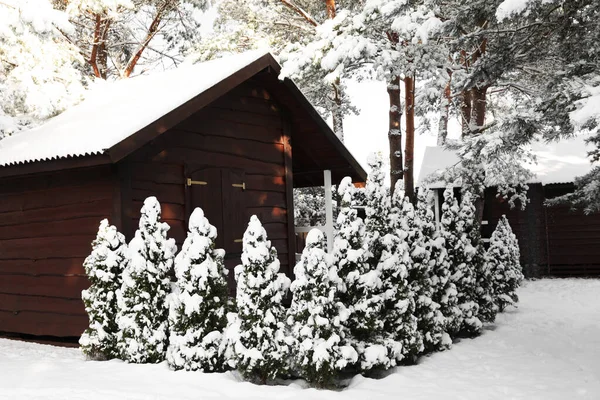 Winter Landscape Wooden House Trees Bushes Morning —  Fotos de Stock