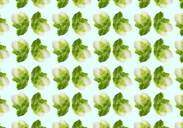 Pattern Design Fresh Chinese Cabbage Leaves Pale Light Blue Background — Stockfoto
