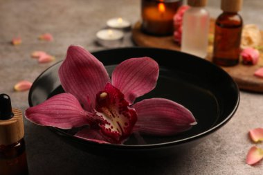 Bowl of essential oil and beautiful flower on grey table, closeup. Aromatherapy treatment
