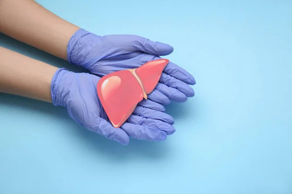 Doctor in gloves holding paper liver on light blue background, closeup and space for text. Hepatitis treatment