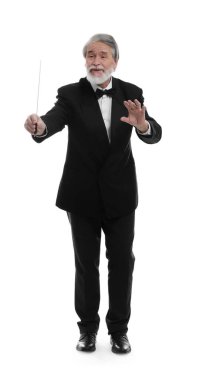 Beyaz arkaplanda batonu olan profesyonel iletken