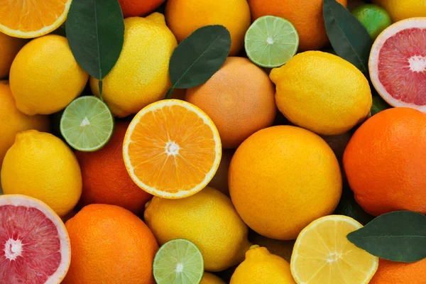 さまざまな種類の柑橘類を背景にカットし トップビュー — ストック写真