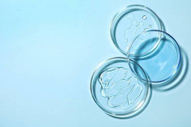 Petri dishes with samples on light blue background, flat lay. Space for text