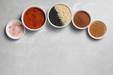 Bowls with different spices on light grey marble table, flat lay. Space for text