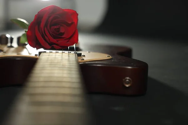 Beautiful Rose Electric Guitar Black Background Closeup Space Text — 스톡 사진