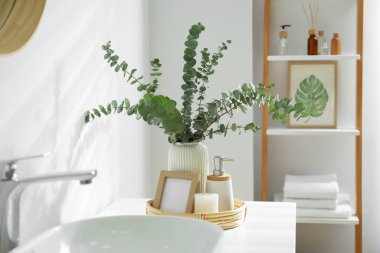 Vase with eucalyptus branches and toiletries near vessel sink in bathroom. Interior design